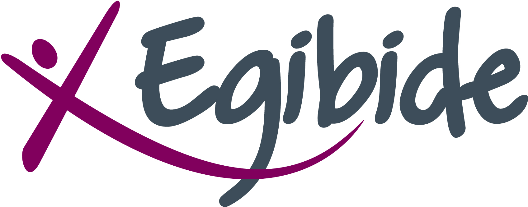 Egibide