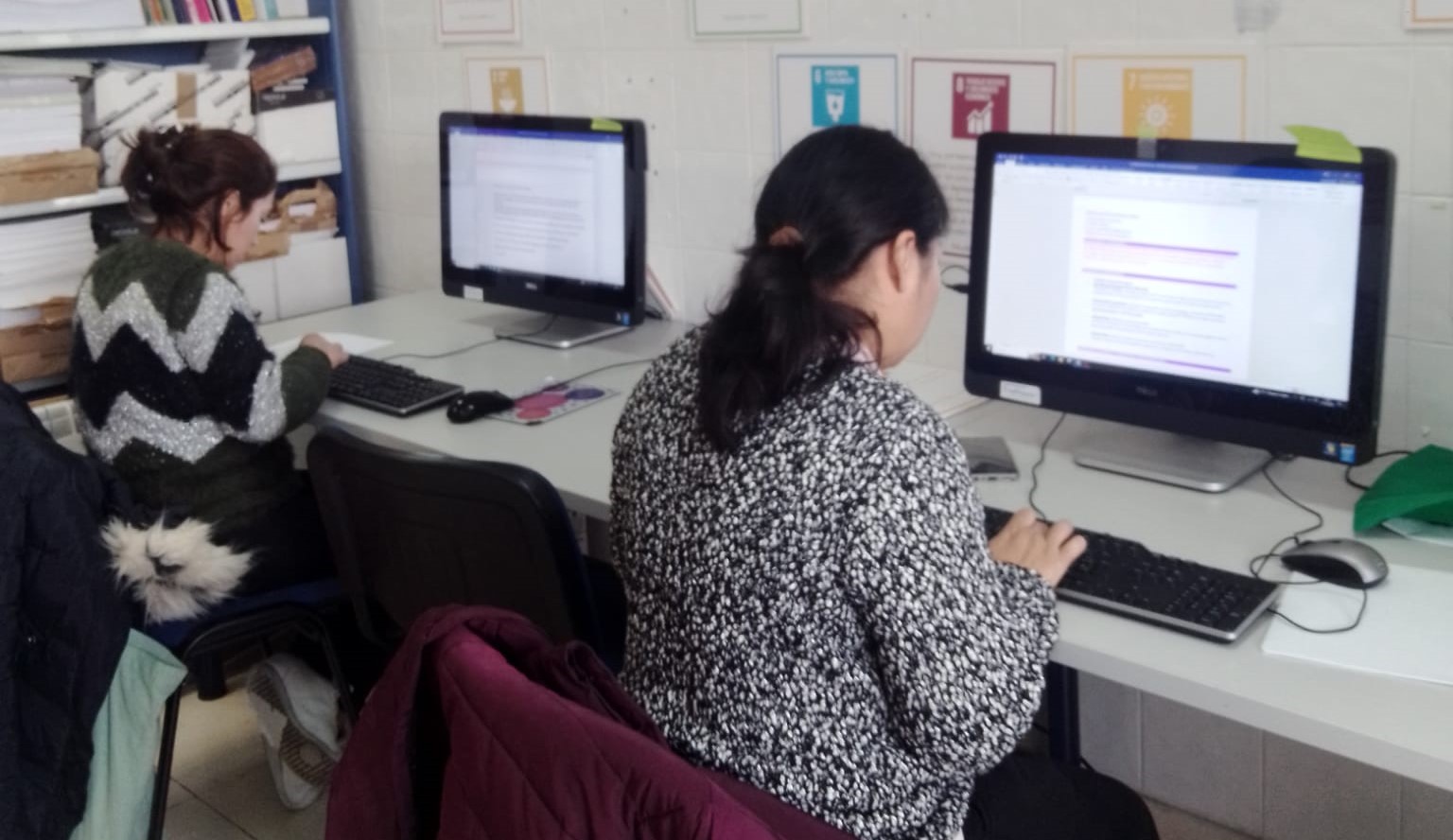 Dos mujeres sentadas cada una delante de un ordenador trabajando