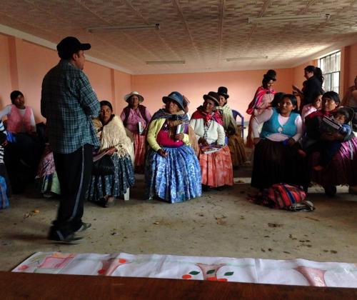 Bolivia Cooperación Adsis
