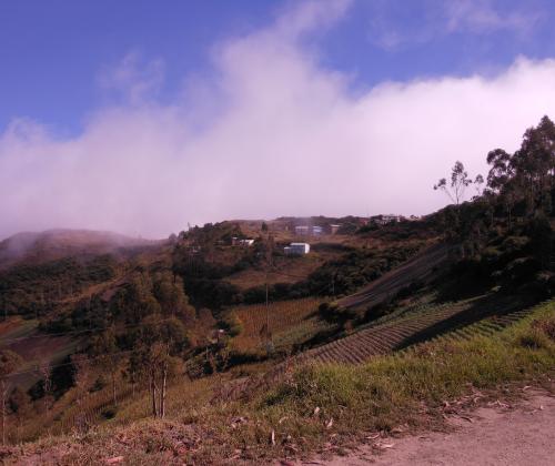 Bolivia Cooperación Adsis