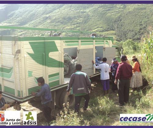 Bolivia Cooperación Adsis